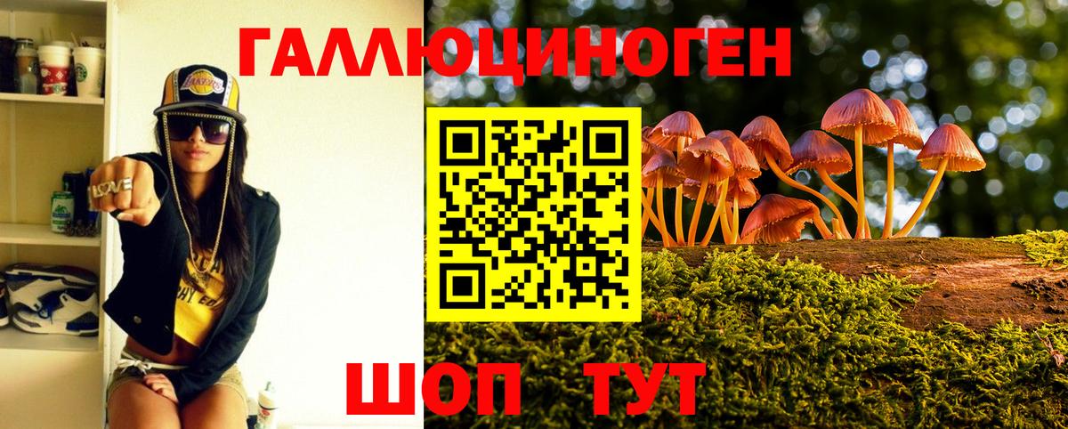 Керчь  Галлюциногенные грибы ЛСД  Вход с VPN  Псилоцибиновые грибы мухоморы 